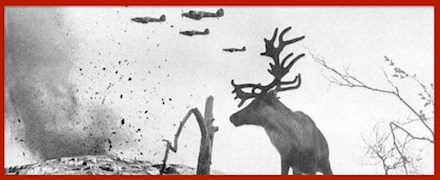 Deers & War